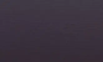 Aubergine