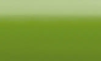 Grass